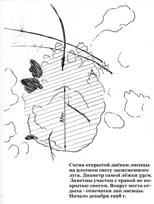 Лисья нора
