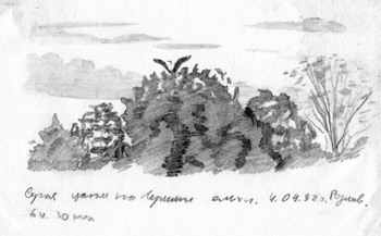 Серая цапля