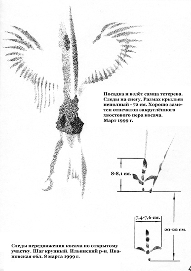 Следы посадки и взлёта