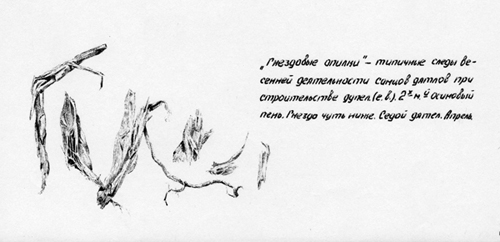 Гнездовая щепа
