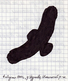 Сова, 1991 г.