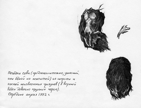 Погадки совы