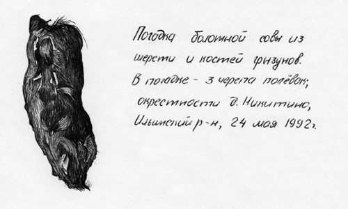 Погадка болотной совы