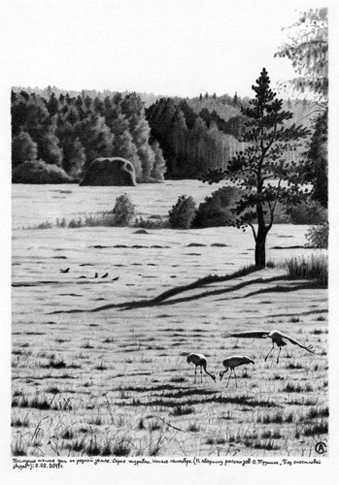 Последние дни на родной земле