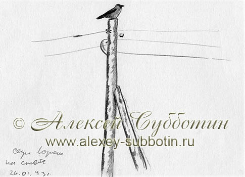 Ворона на столбе