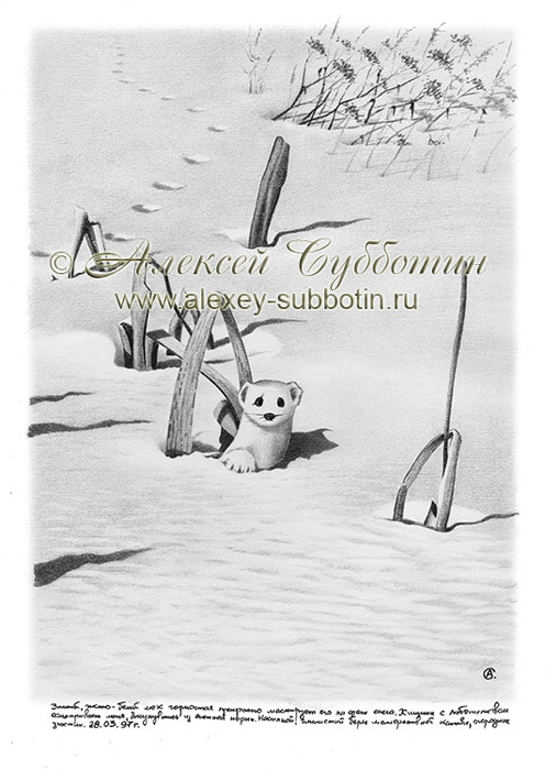Горностай
