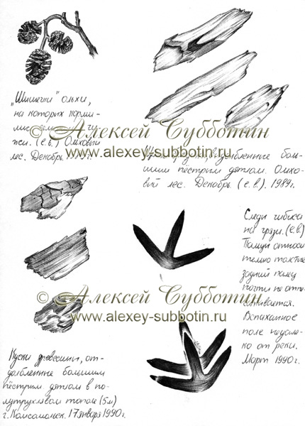1989-90