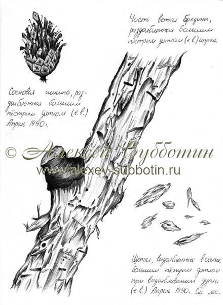 Апрель 1990