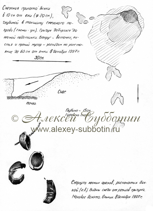 Декабрь 1997