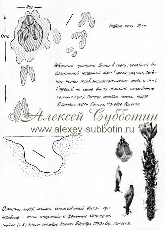 Декабрь 1997