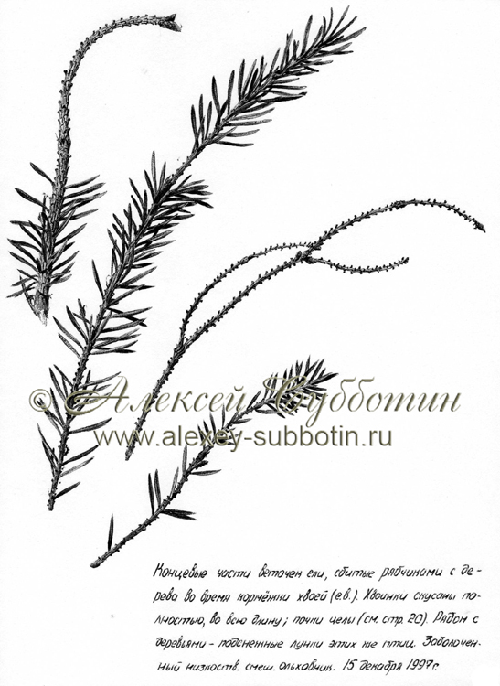 Декабрь 1997