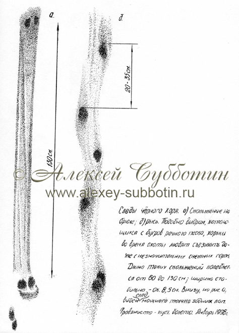 Январь 1998