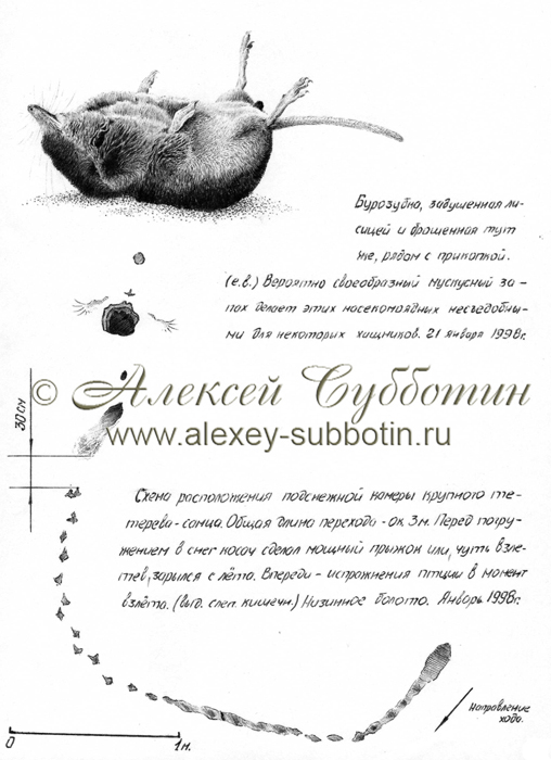 Январь 1998