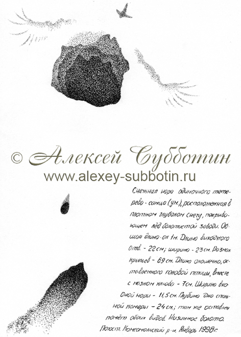 Январь 1998