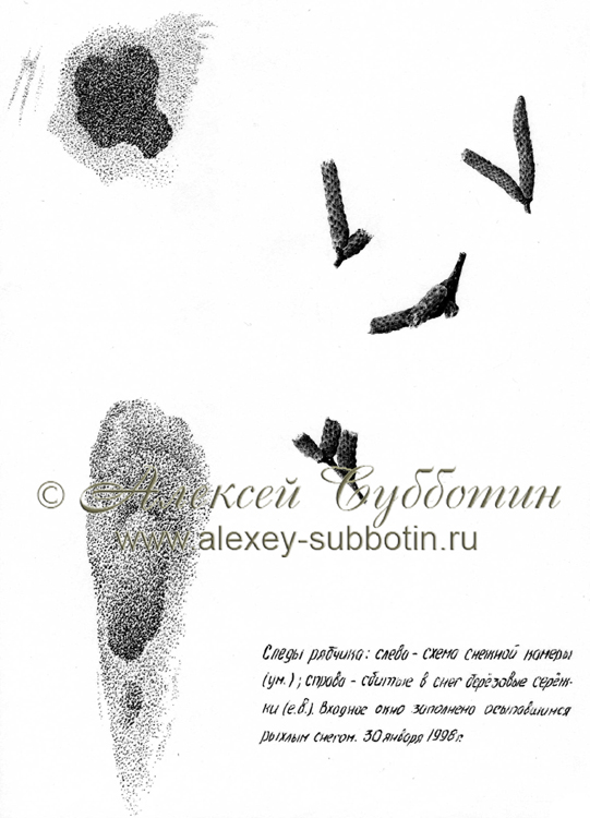 Январь 1998