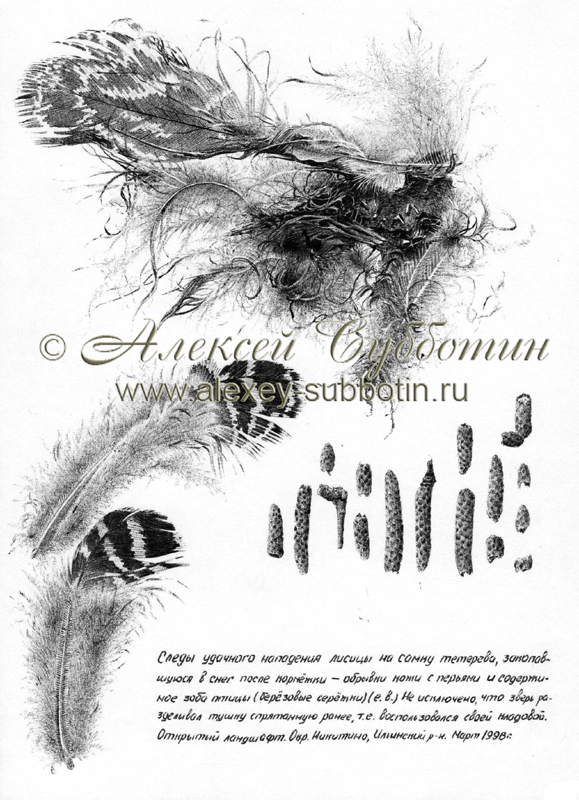 Март 1998