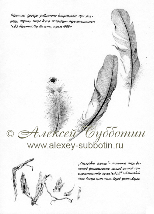 Апрель 1998
