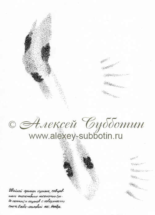 Ноябрь 1998