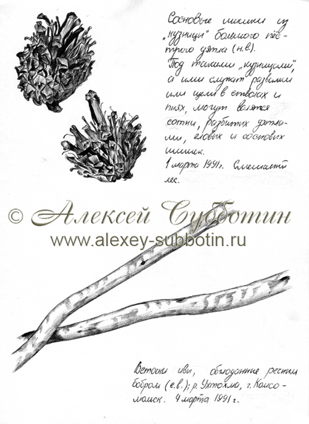 Март 1991