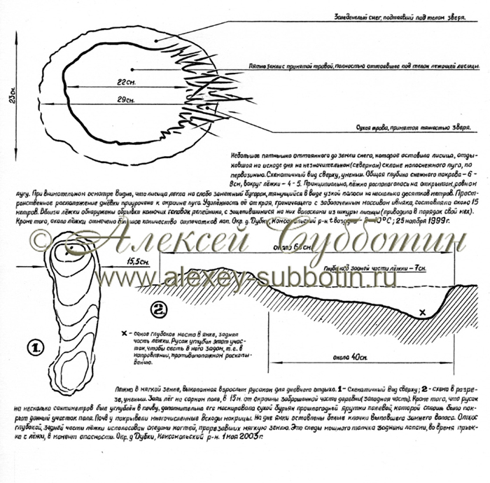 Ноябрь 1999