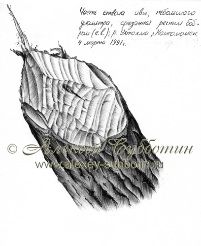 Март 1991