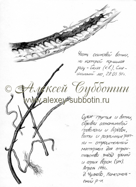 Апрель 1991