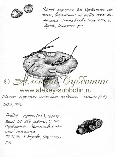 Июль 1991