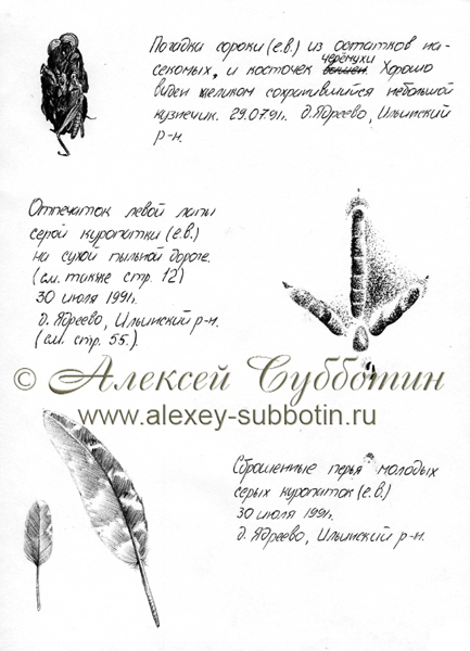 Июль 1991