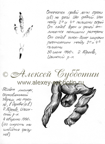 Июль 1991