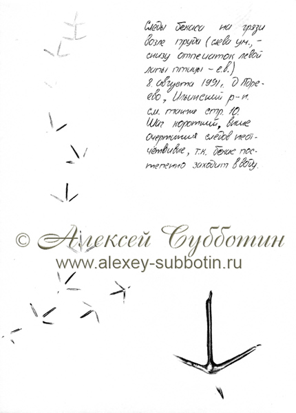 Август 1991