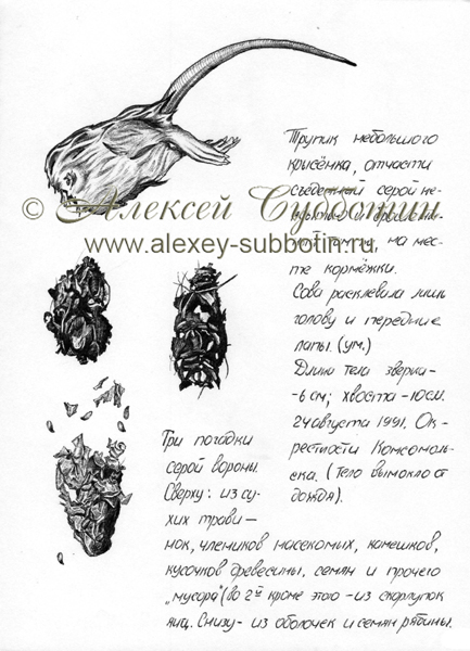 Август 1991