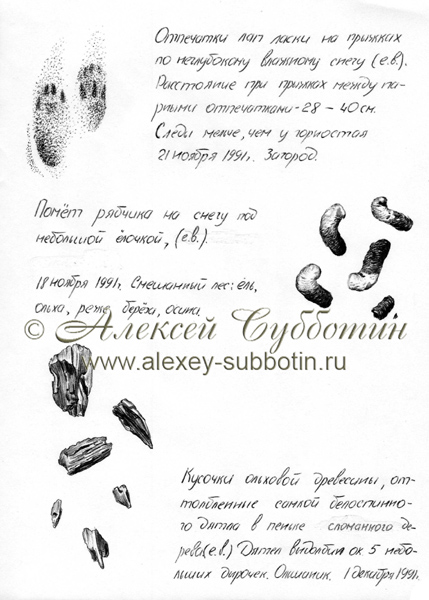 Ноябрь 1991