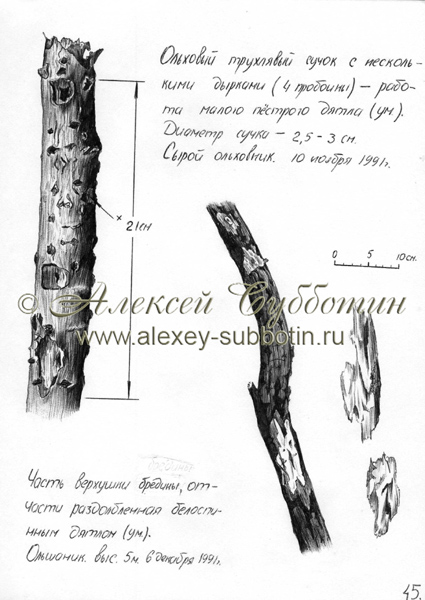 Декабрь 1991