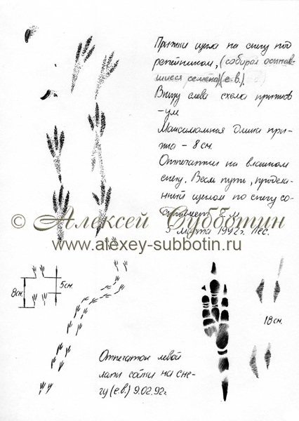 Март 1992