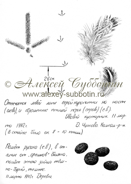 Март 1992