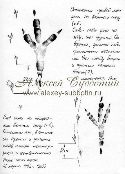 Март 1992