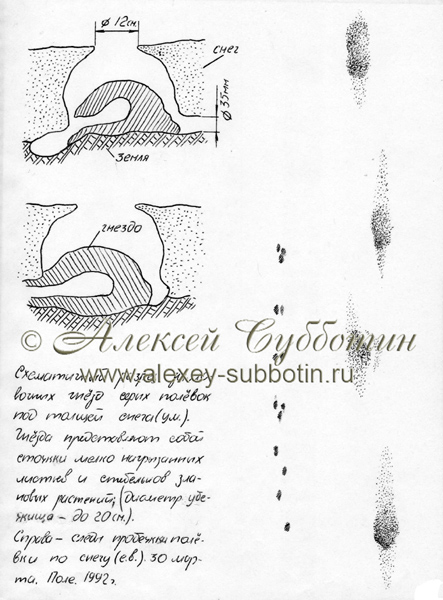 Март 1992