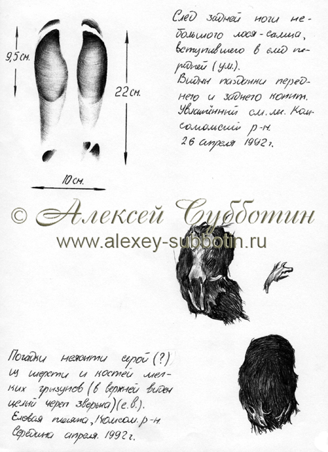 Апрель 1992