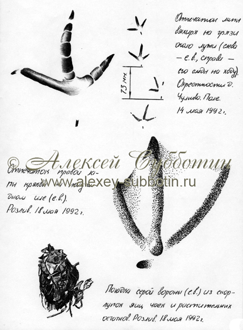 Май 1992
