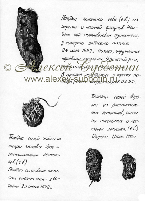 Июнь 1992