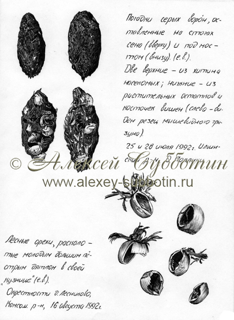 Июль 1992