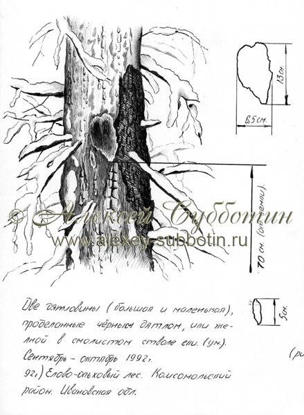 Октябрь 1992