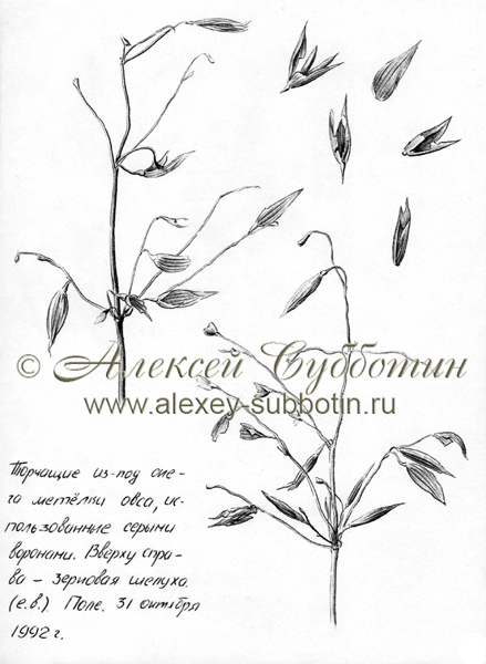 Октябрь 1992