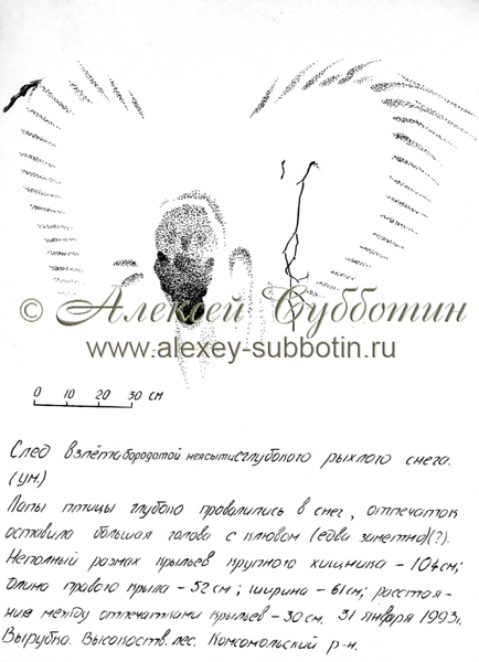 Январь 1993