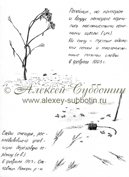 Февраль 1993