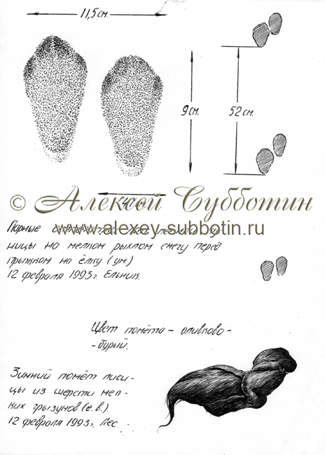 Февраль 1993