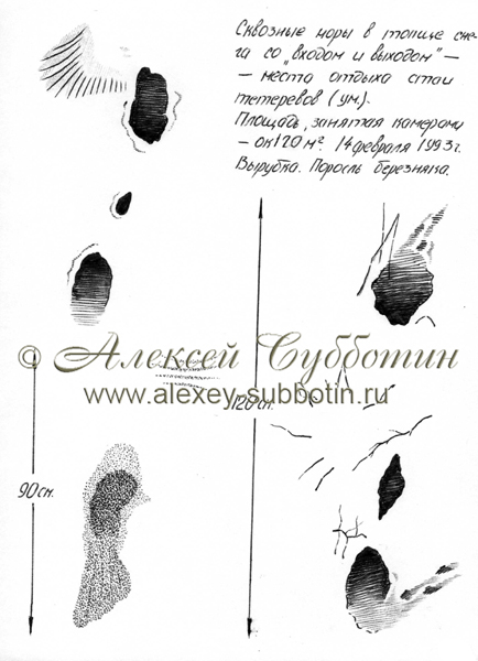 Февраль 1993