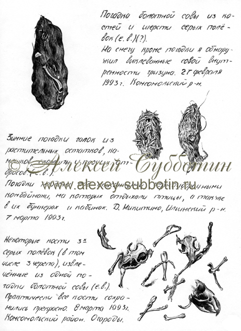 Март 1993