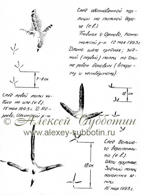 Март 1993