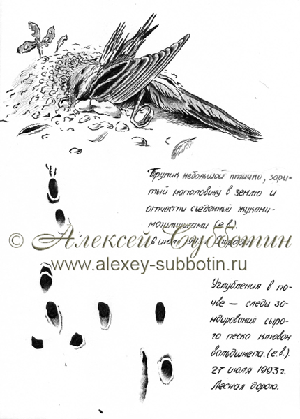 Июль 1993